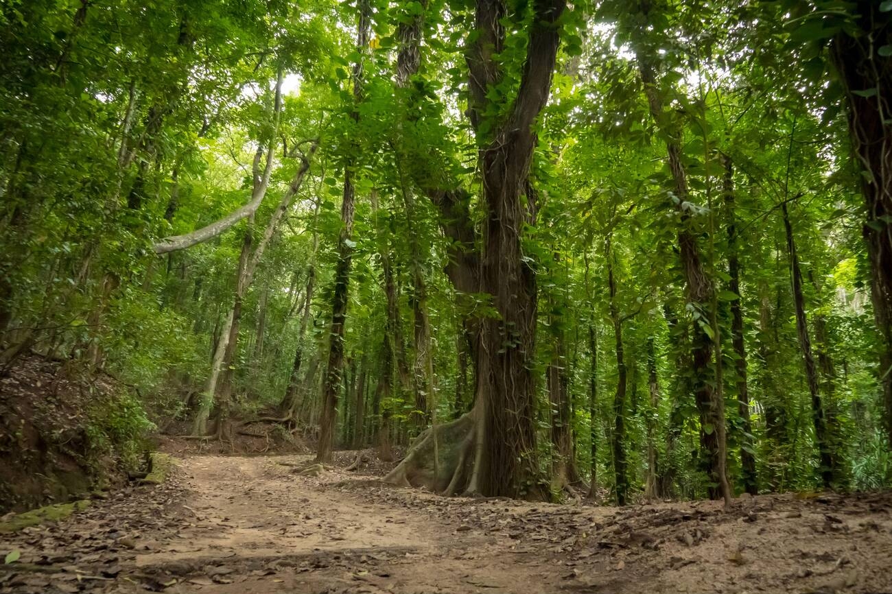 Discover Sri Lanka 11